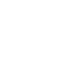 XRO logo with a transparent background